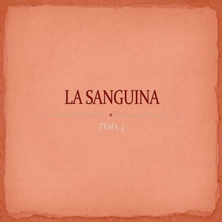 Tema 4. sanguina