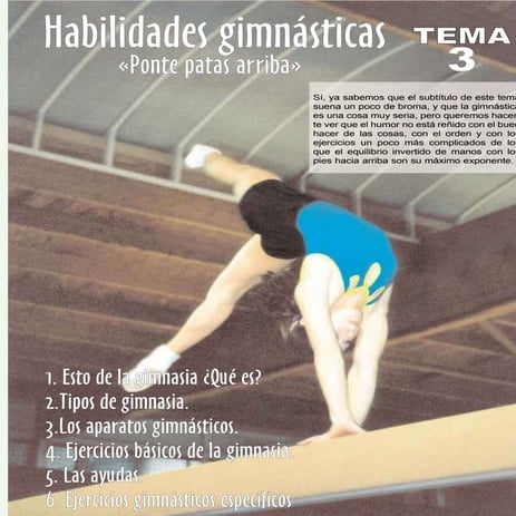 Habilidades gimnásticas