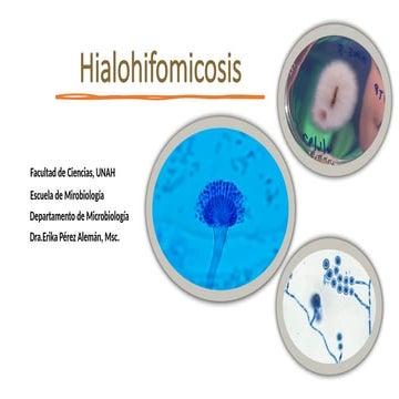TEMa 4. Hongos contaminantes-hialohifomicosis-1.pptx