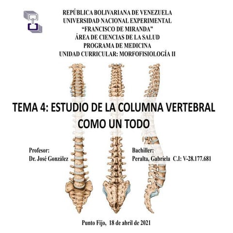Tema 4 - Estudio de la columna vertebral como un todo | PDF