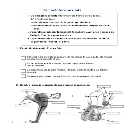 Tema  4. LA REPRODUCCIÓ.