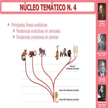 Principales líneas evolutivas | PDF