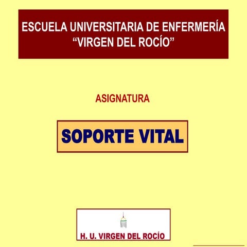 ASIGNATURA SOPORTE VITAL: TEMA 4