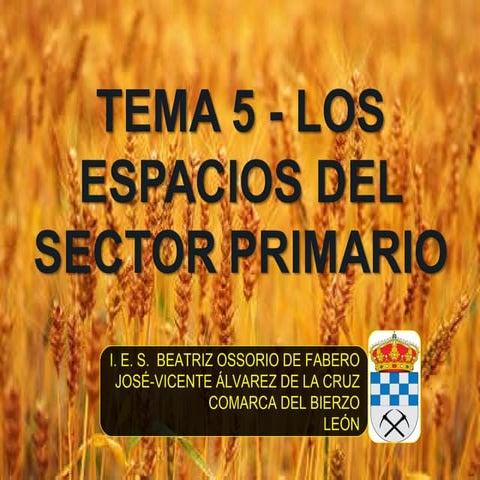 Tema5 losespaciosdelsectorprimario-