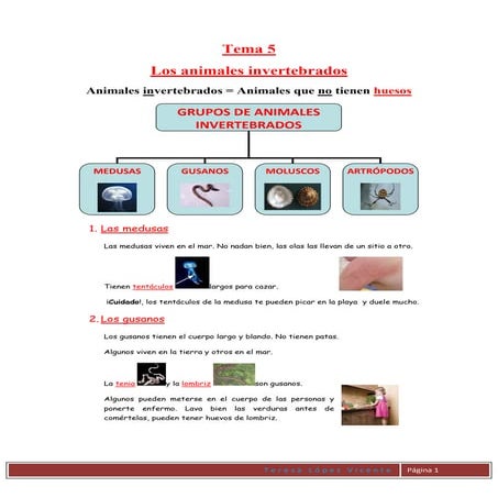 Tema 5 3º primaria los animales invertebrados