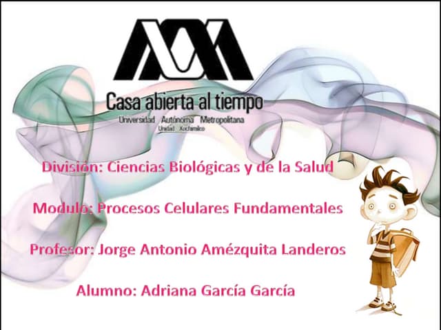 Tema 5  tipos de acción reciproca e...