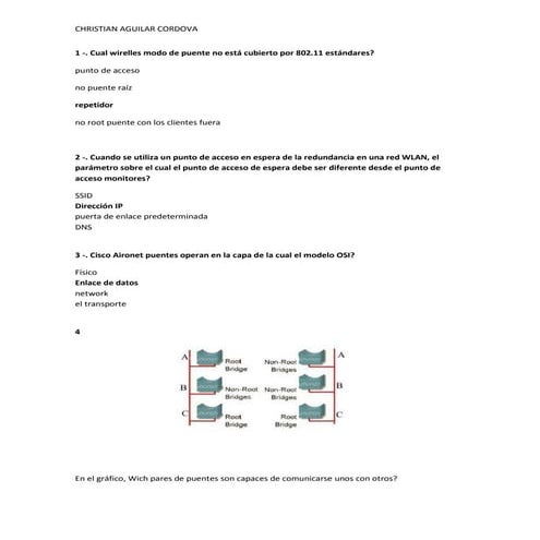 Creación de red wan con packet tracer | DOCX