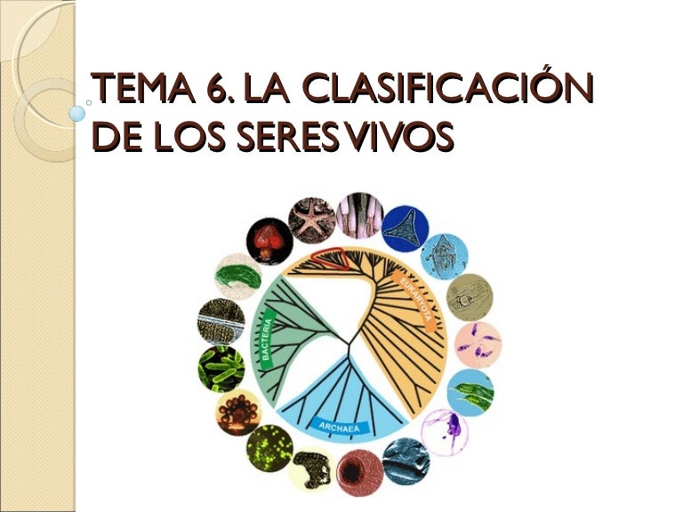 Tema 6 la clasificación de los seres vivos