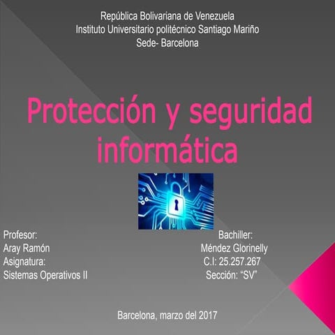 Proteccion y seguridad en los S,O