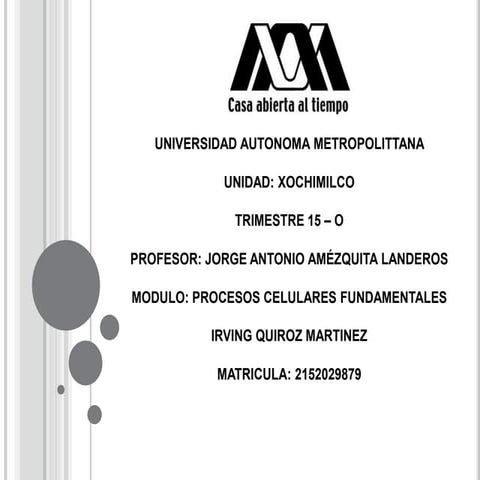 Tema 64 Descripción del proceso del reconocimiento del antígeno por los linfo...