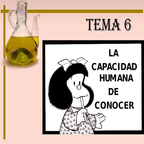 Tema 6 (3ª Ev)