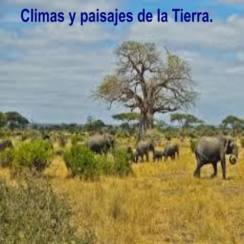 Tema 6. Climas y paisajes de la Tierra. | PDF