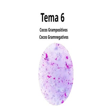 Tema 6 Cocos CFGS LABORATORIO CLINICO.pptx