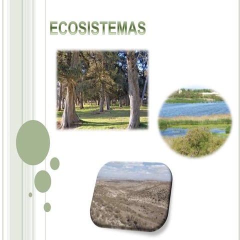 Tema 6 ecosistemas | PPTX