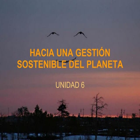 Tema 6 hacia una gestion sostenible del planeta