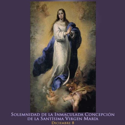 Tema 6 inmaculada concepcion