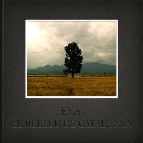 Tema 7.5è el relleu de cat