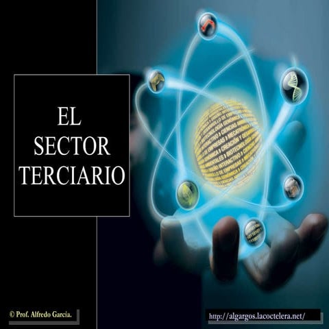 El Sector Terciario. Servicios Sociales y Transporte.