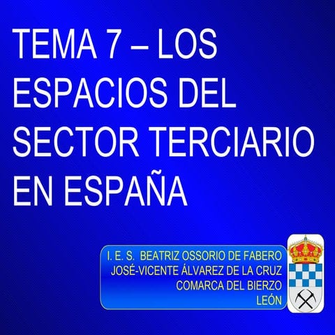 Tema7 losespaciosdelsectorterciarioenespaa-110209093925-phpapp01