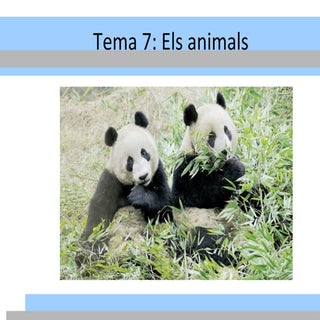 Tema 7 animals