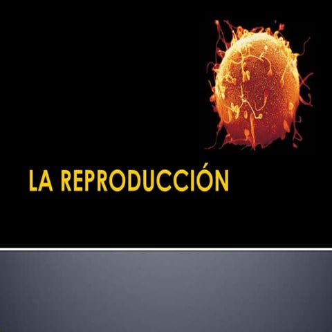 Tema 7 la reproducción
