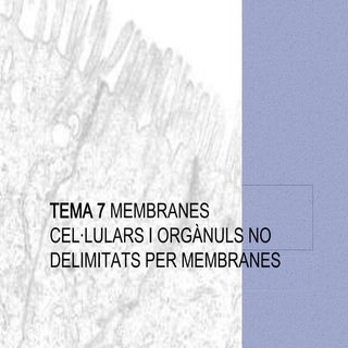 Tema 7 membranes cel·lulars i orgàn...