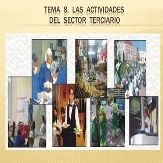 Tema  8. Las actividades del sector...