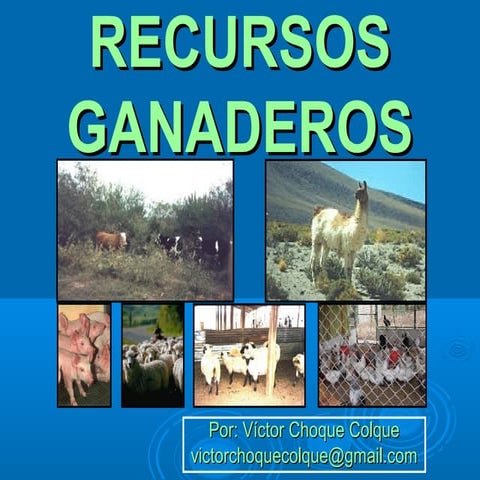 Tema 8. recursos ganaderos 2013