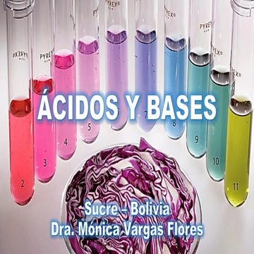 Tema 8 Ácidos y bases.pdf presentación diapositivas | PDF