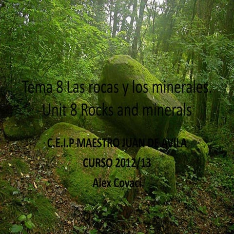 Tema 8 las rocas y los minerales