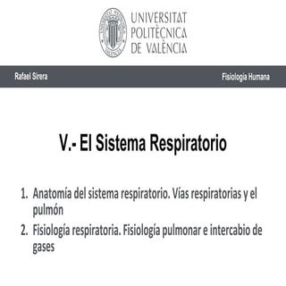 Sistema Respiratorio. Anatomía