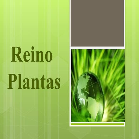 Tema 9. Reino Plantas