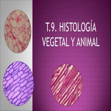 Tema 9 Histología vegetal y animal