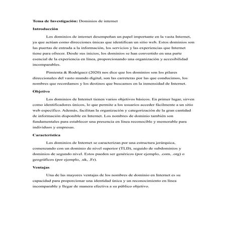 EL DOMINIO DE INTERNET Y SU IMPORTANCIA EN LA WEB | DOCX