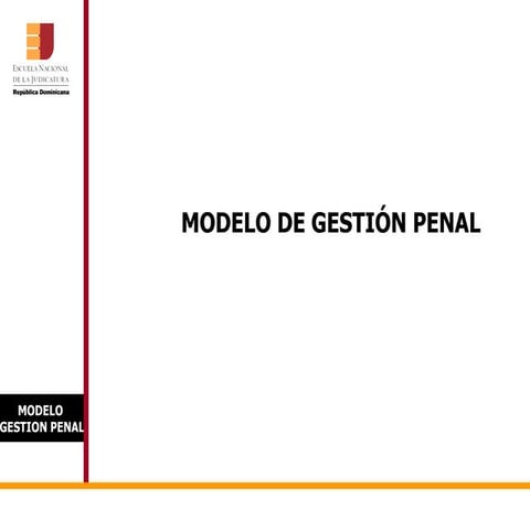 ENJ-100 Modelo de Gestión Penal -Audiencia Preliminar