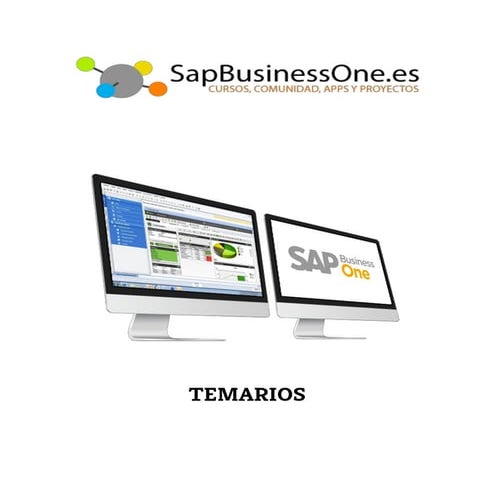 Temarios Cursos SAPB1 Online