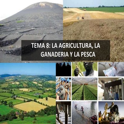 Tema sector primario