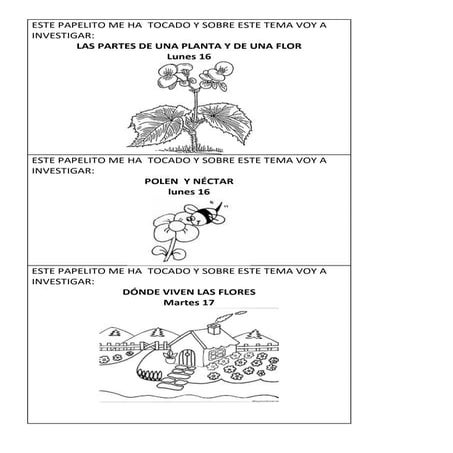 Temas para investigar sobre flores y mariposas . www.tumeaprendes.com
