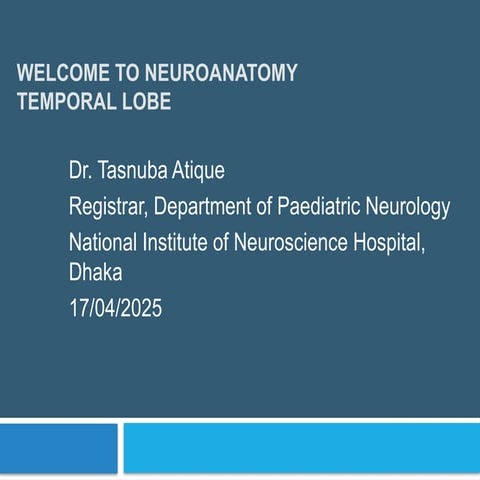 temoral lobe neuroanatomy by dr Tasnuba Atique | PPTX