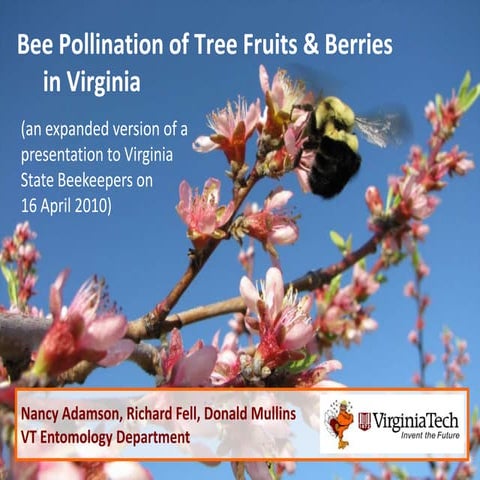 Tree Fruit and Berry Pollination in Virginia (and the mid-Atlantic by extension)