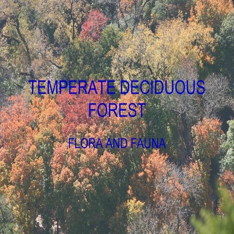Temperate deciduous forest flora & fauna
