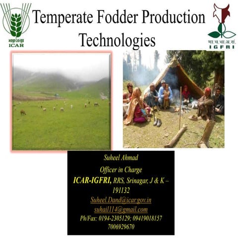 Temperate fodder production technologies