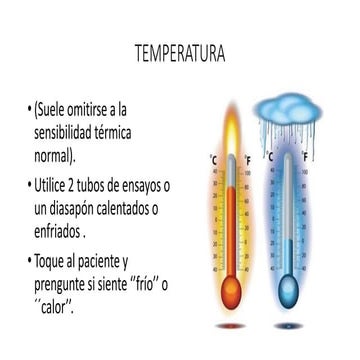 Reflejos sensitivos y reflejos tendinosos profundos.