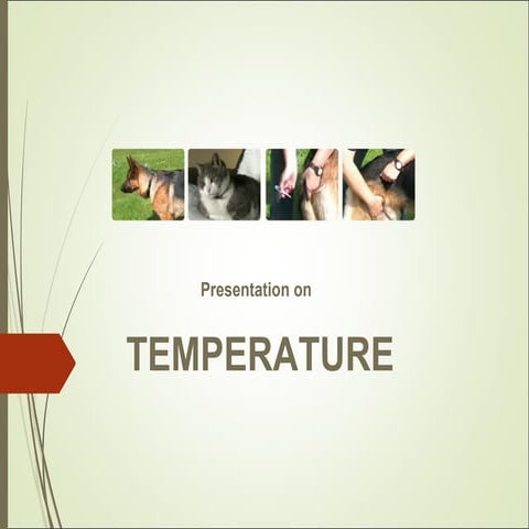 Temperature | PPT