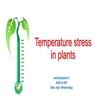 Temperature stress in crops
