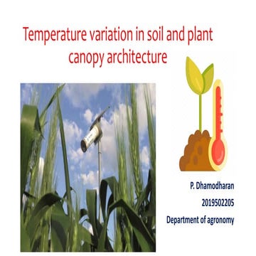Temperature variation in soil and plant canopy architecture