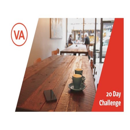 20 Day Business Challenge