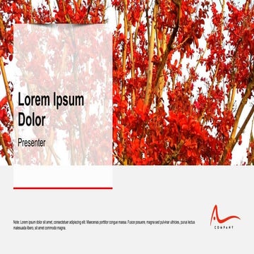 information about corporate presentation