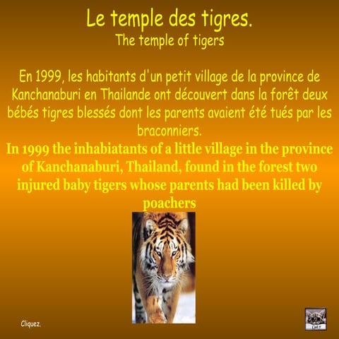 Templeofthetigers