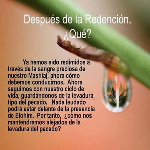 TEMPLO DEL ETERNO DI-S